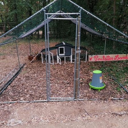 Emplacement Tente Camping Car Saint-Aubin-de-Nabirat Экстерьер фото