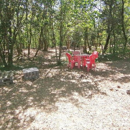 Emplacement Tente Camping Car Saint-Aubin-de-Nabirat Экстерьер фото
