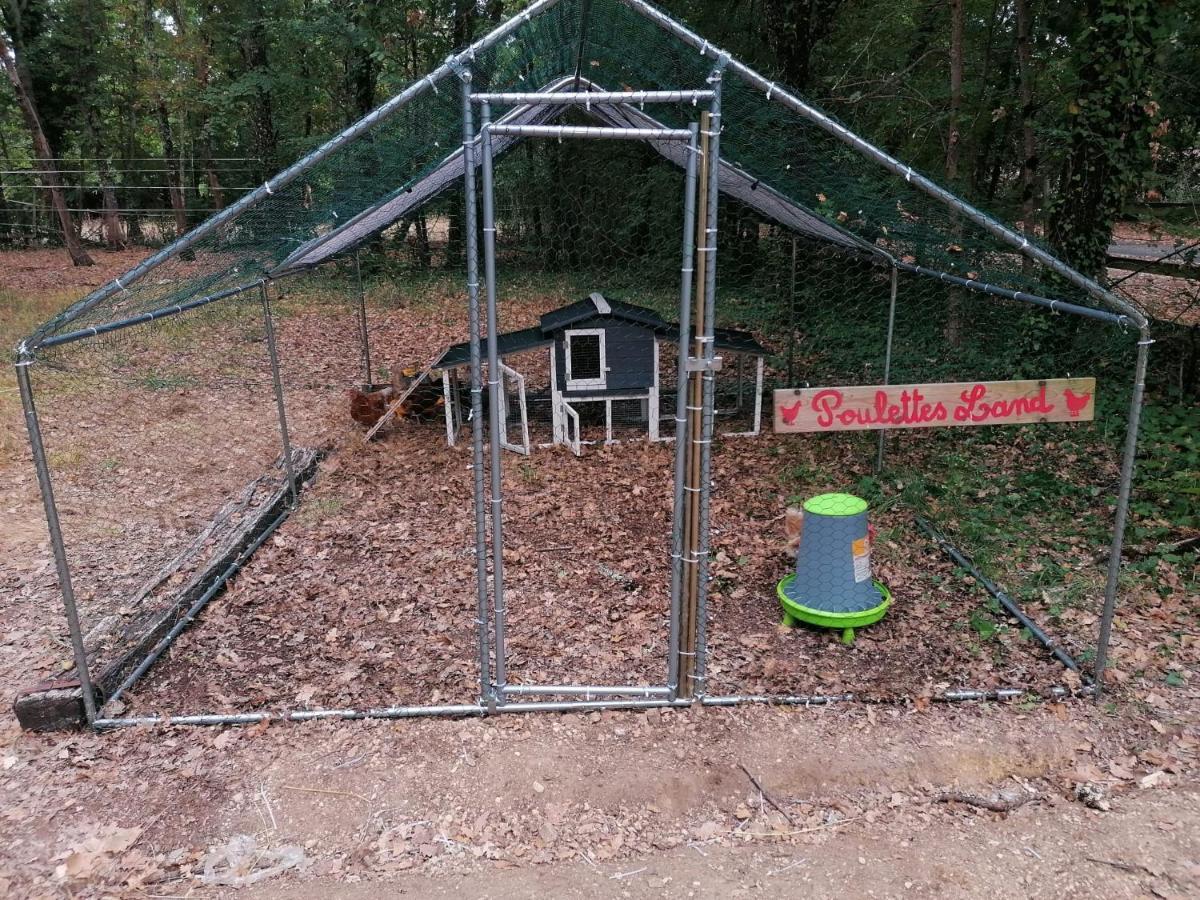 Emplacement Tente Camping Car Saint-Aubin-de-Nabirat Экстерьер фото