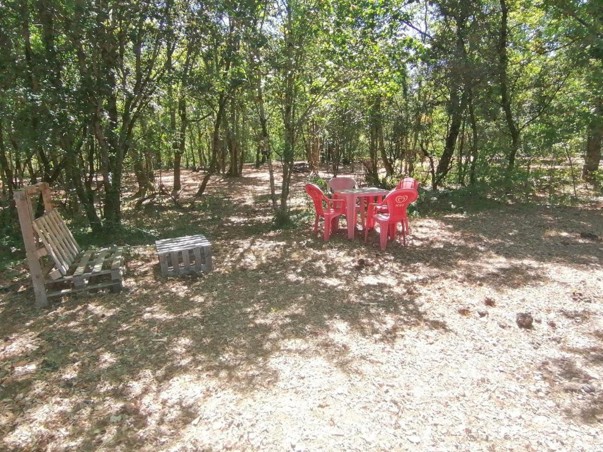 Emplacement Tente Camping Car Saint-Aubin-de-Nabirat Экстерьер фото